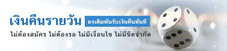 เงินคืนรายวัน